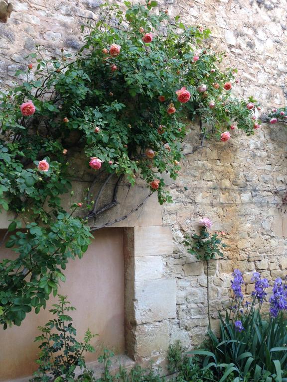 La Forge Bed and Breakfast Rustrel Buitenkant foto