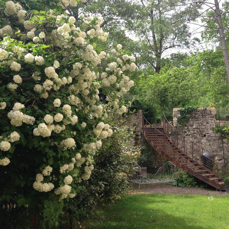 La Forge Bed and Breakfast Rustrel Buitenkant foto